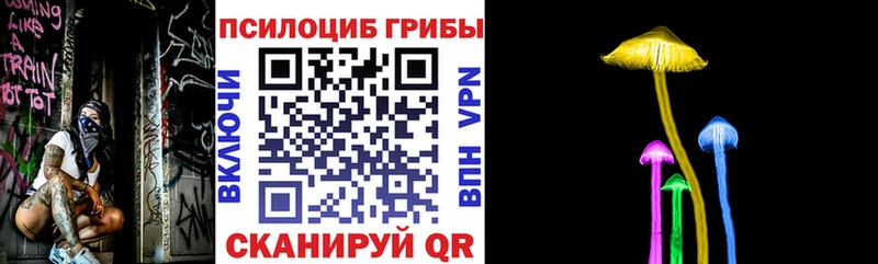 Галлюциногенные грибы прущие грибы  Ленинградская 